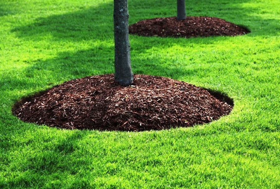 Mulching