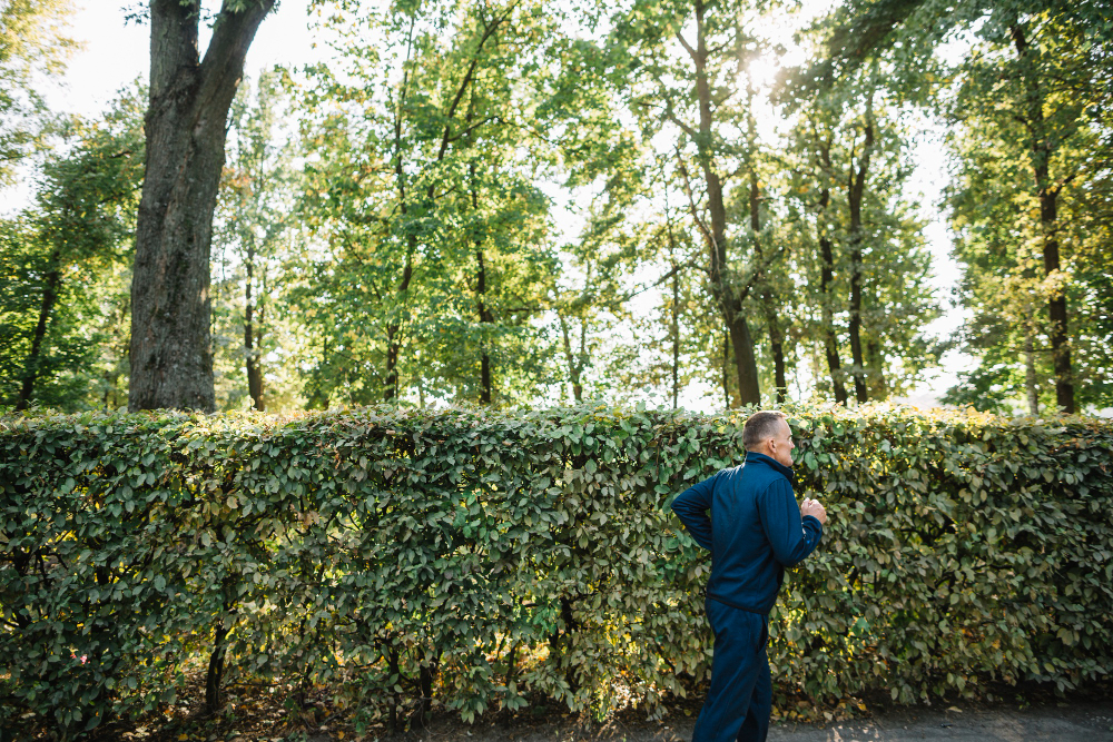 Tree Trimming Services
