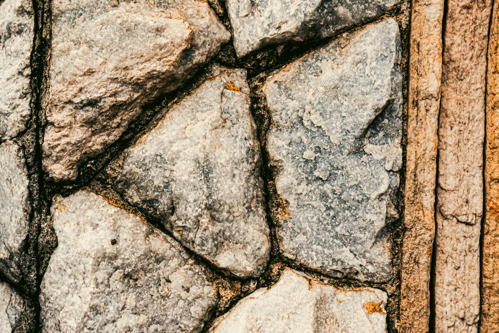 Tree Trimming Services